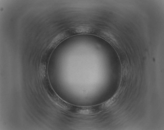 X0000073920171200608181058