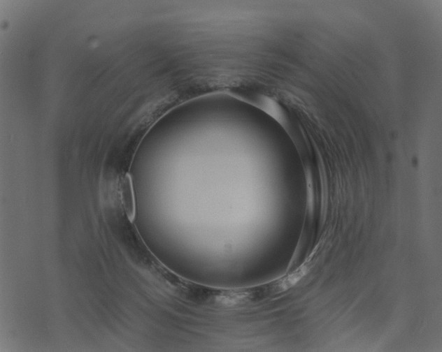 X0000073920172200608181058