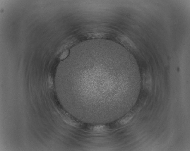 X0000073920173200608181058