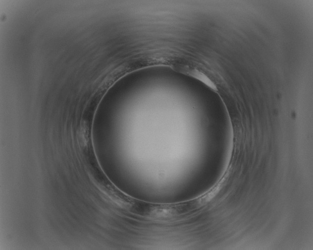 X0000073920174200608181058