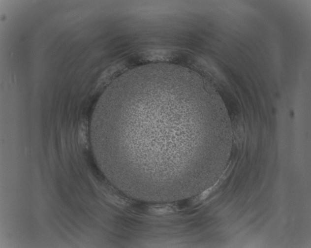 X0000073920175200608181058