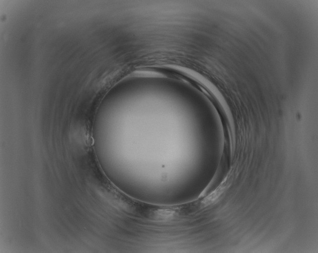 X0000073920176200608181058