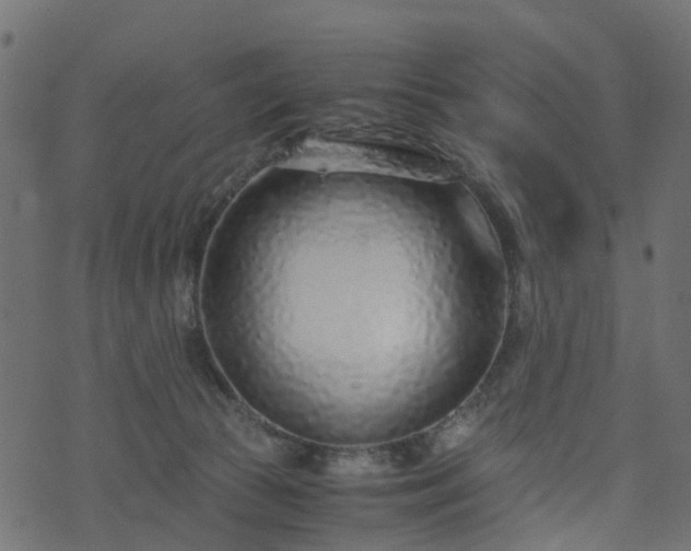 X0000073920177200608181058