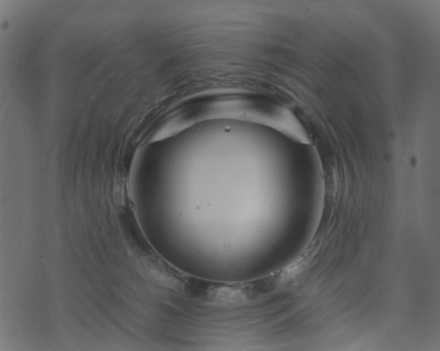 X0000073920180200608181058