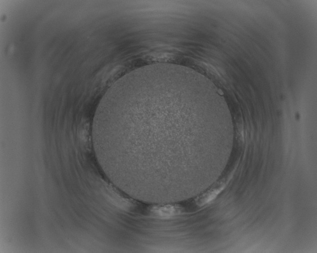 X0000073920181200608181058