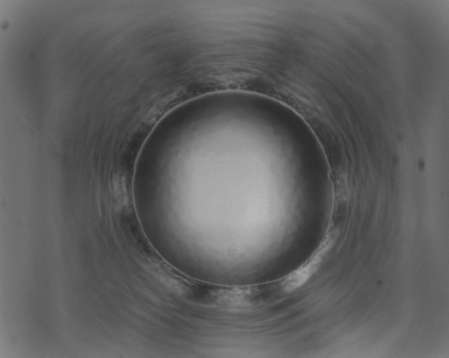 X0000073920182200608181058