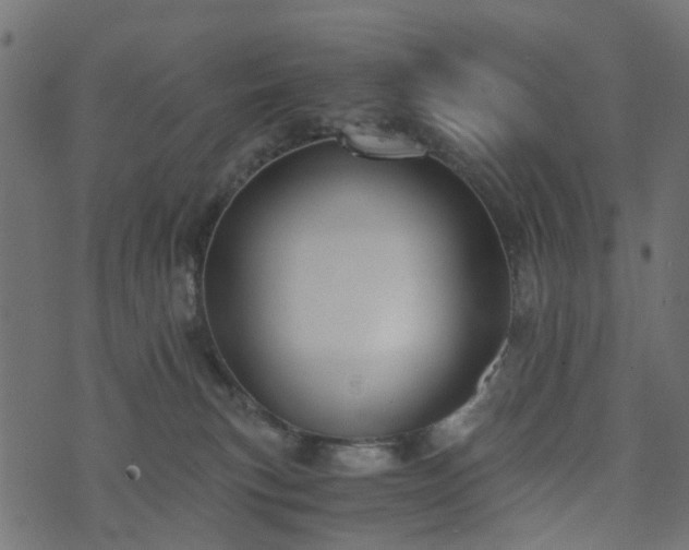 X0000073920183200608181058