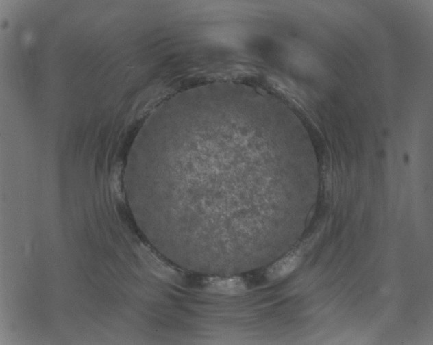 X0000073920185200608181058