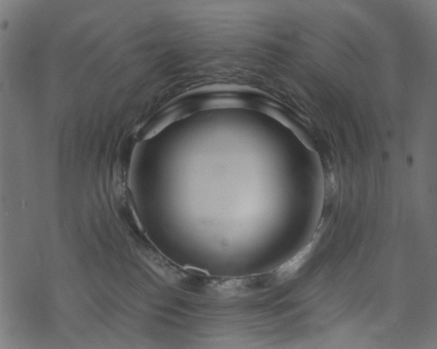 X0000073920186200608181058