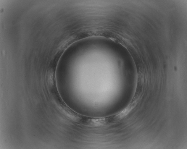 X0000073920188200608181058