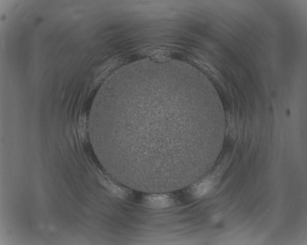 X0000073920189200608181058