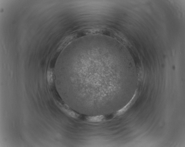 X0000073920191200608181058