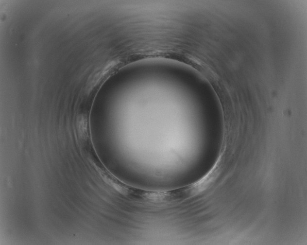 X0000073920192200608181058