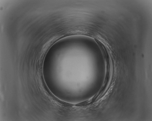 X0000073920193200608181058