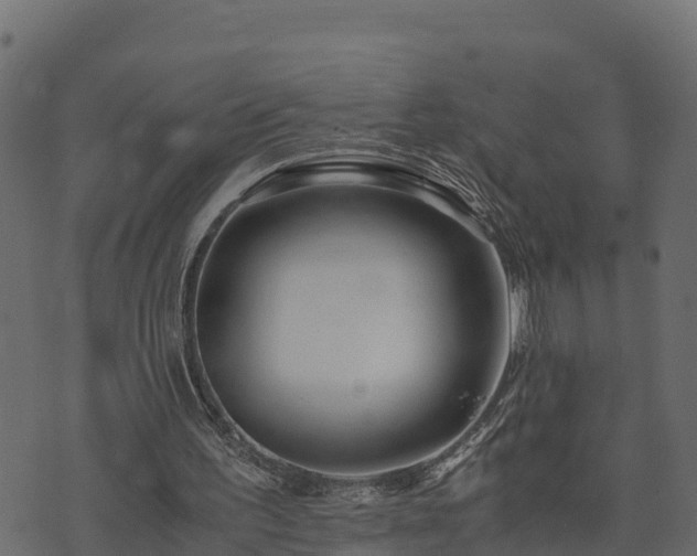 X0000073920195200608181057