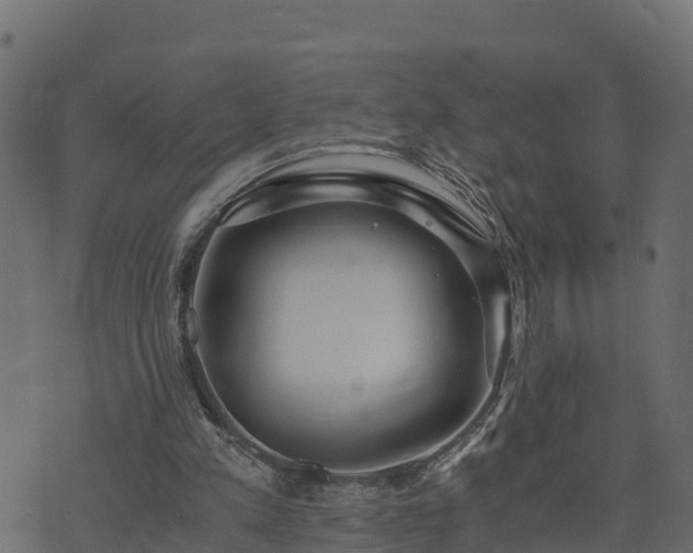 X0000073920197200608181057