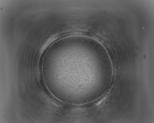 X0000073920198200608181057