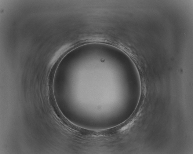 X0000073920199200608181057