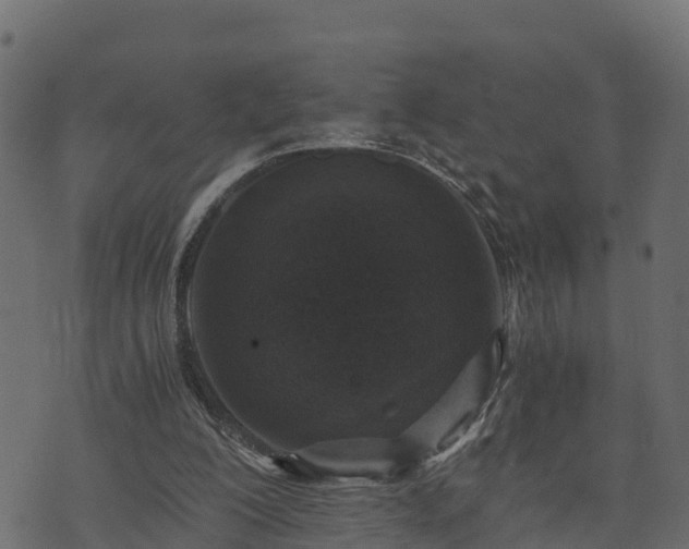 X0000073920200200608181057