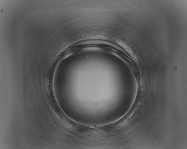 X0000073920201200608181057