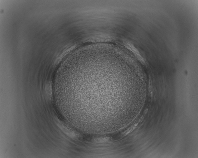 X0000073920202200608181057