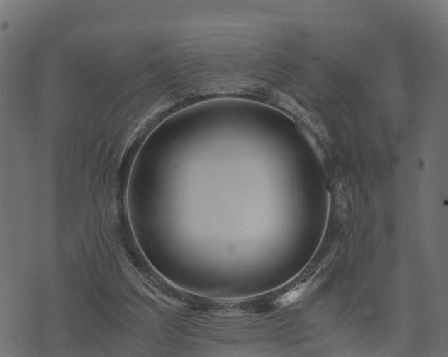 X0000073920203200608181057