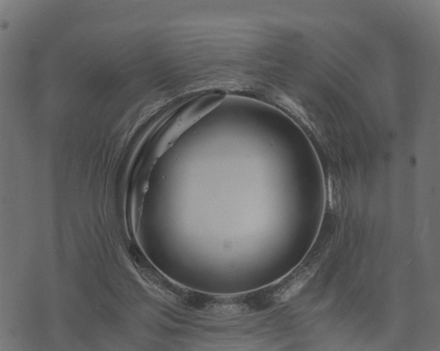 X0000073920205200608181057