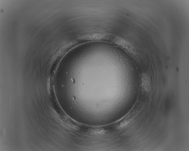 X0000073920206200608181057