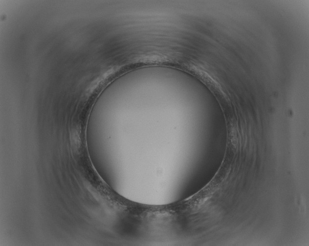 X0000073920208200608181057