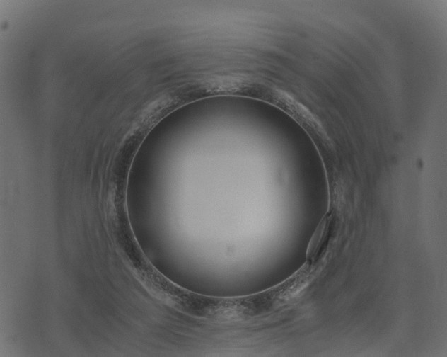 X0000073920209200608181057