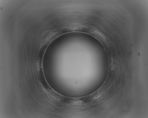 X0000073920210200608181057