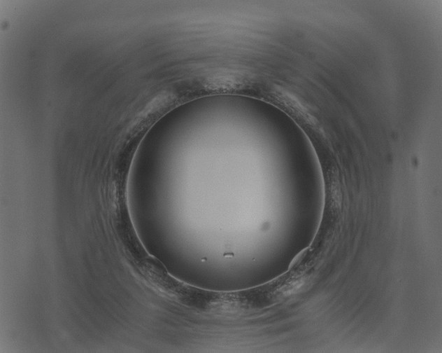 X0000073920211200608181057