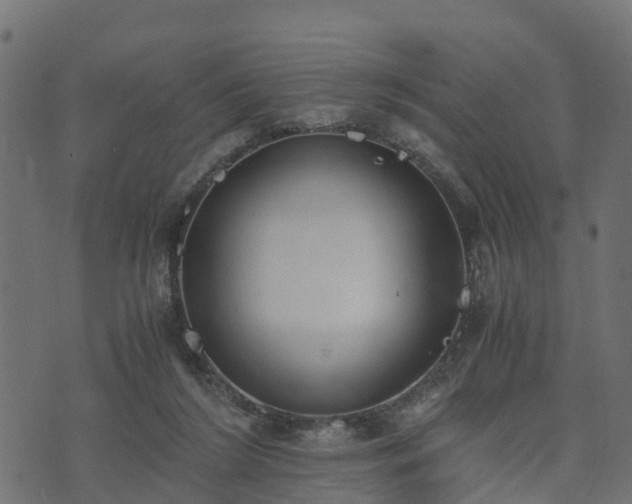 X0000073920212200608181057