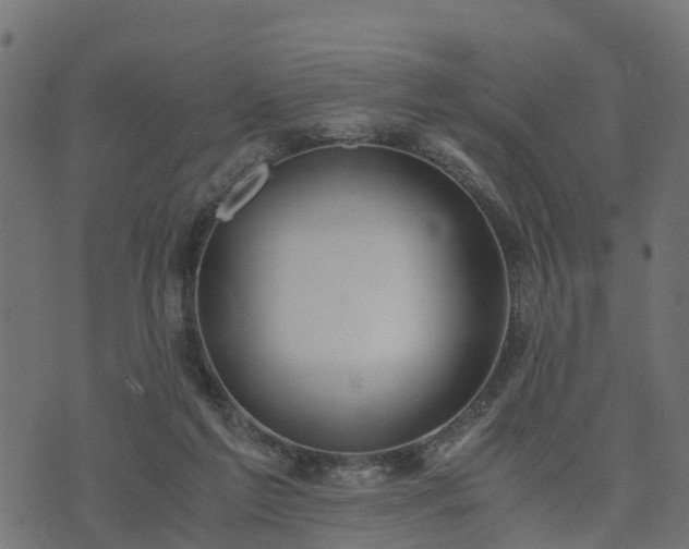 X0000073920213200608181057