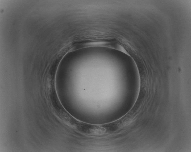 X0000073920215200608181057