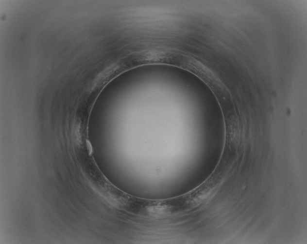 X0000073920216200608181057