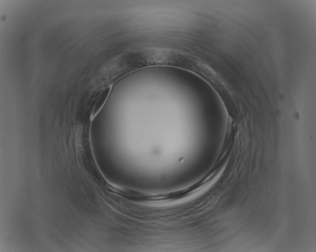 X0000073920217200608181057