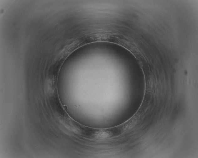 X0000073920218200608181057