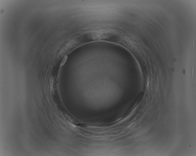 X0000073920219200608181057