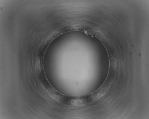 X0000073920220200608181057