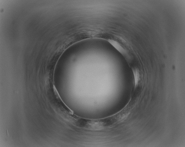 X0000073920221200608181057