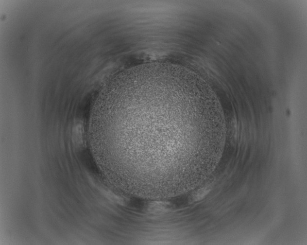 X0000073920222200608181057