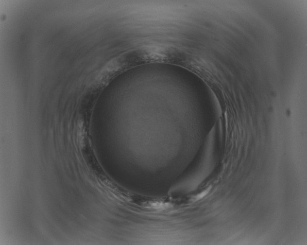 X0000073920223200608181057