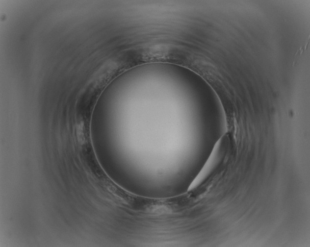 X0000073920224200608181057