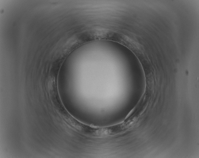 X0000073920225200608181057