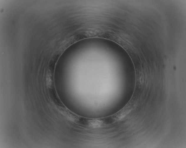 X0000073920226200608181057