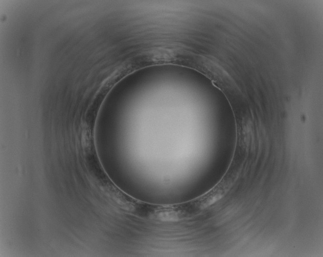 X0000073920228200608181057