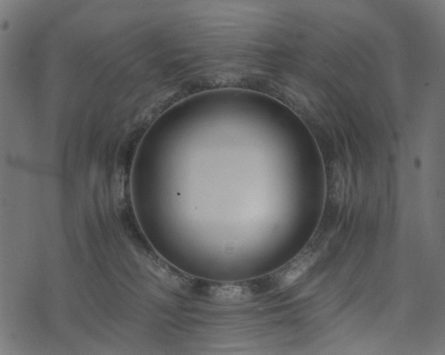 X0000073920230200608181057