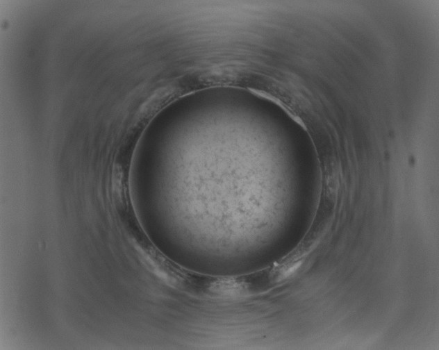 X0000073920231200608181057