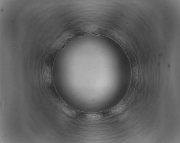 X0000073920234200608181057